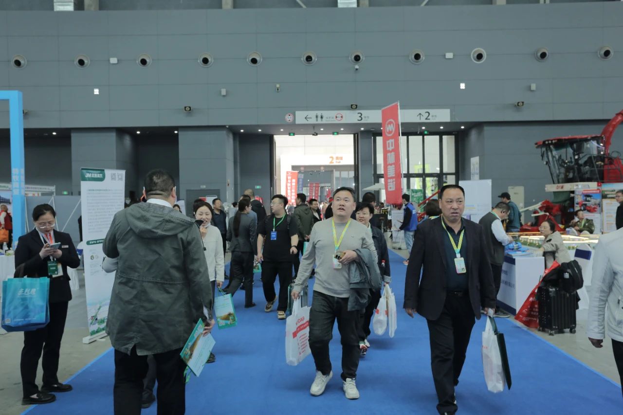 展会现场